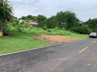 Land for Sale in Juan Díaz - 0 bedrooms