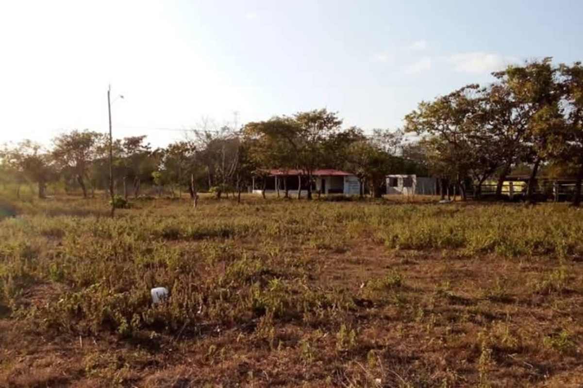 Large countryside land lot fenced, sparse vegetation ideal country residence Anton Coclé