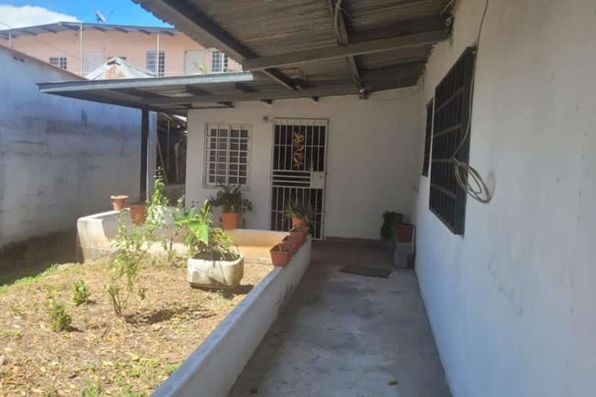 Cleared backyard lot with banana trees and boundary fencing for sale Panama City