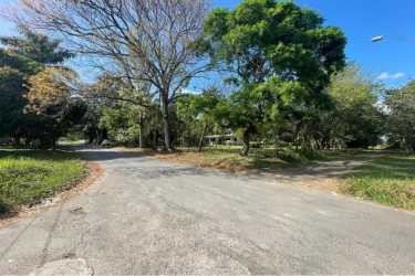 5,000 m² Land Near Gorgona Beach, Investment Opportunity