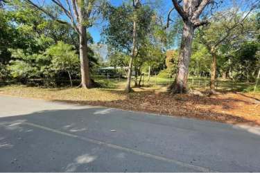 Partially wooded residential land for sale near Gorgona Beach Panama