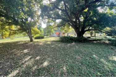 Large garden with trees and shade land for building Nueva Gorgona Panama