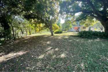 Backyard garden view of large vacant lot Nueva Gorgona near beach