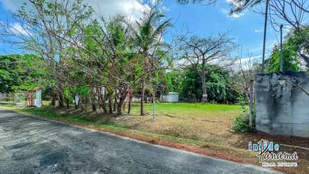 Cleared land with mature trees beside quiet paved street near Coronado beach area Panama