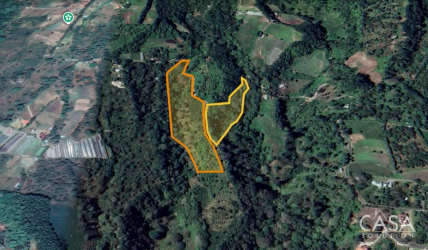 Mature coffee plants with mountain and volcano backdrop in Alto Quiel Boquete farm