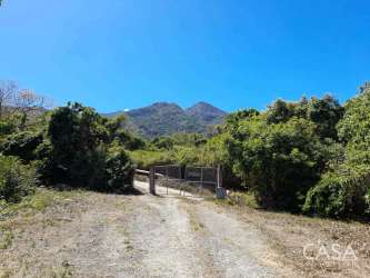 Coffee Farm 7.8 Hectares with Volcano Views Alto Quiel Boquete