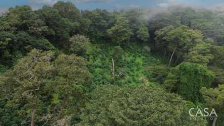Coffee farm edge with lush mountain scenery in Boquete, Chiriquí