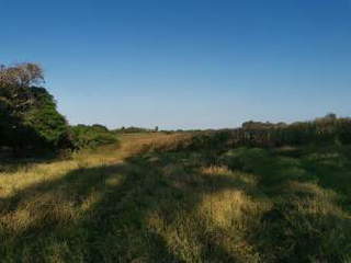 Land for Sale in Tonosí - 0 bedrooms