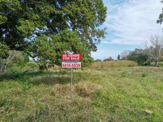 Photo of the countryside farmland with trees at Las Cabezas Pedasí ready for development