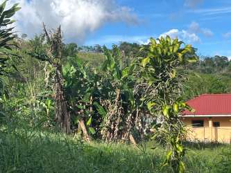 Porched simple rural building surrounded by countryside landscape in Chiriquí