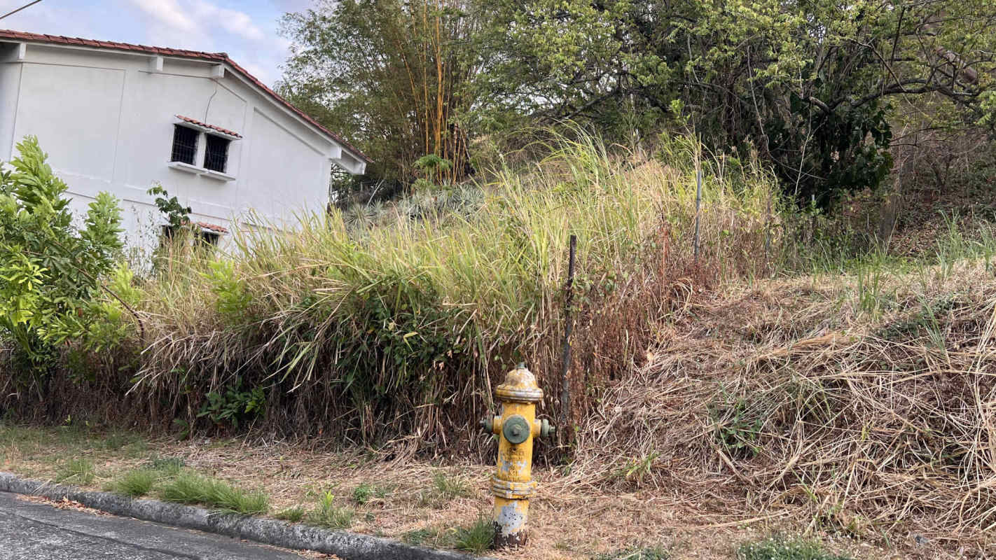 Corner developable lot with grass, sidewalk, fire hydrant near houses in Urbanization El Avance, Betania, Panama City