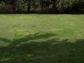 Land for Sale in Antón - 0 bedrooms