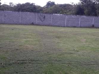 Large open grassy lot near Pan-American Highway and resorts Rio Hato Panama