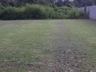 Flat open development site with grass, trees, partial fencing near Rio Hato Panama