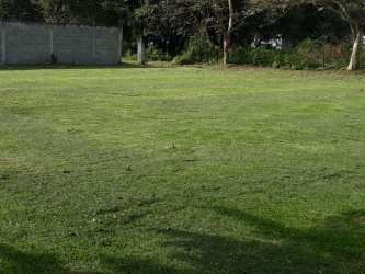 Flat green lot for sale enclosed by fences with natural surroundings Rio Hato Panama