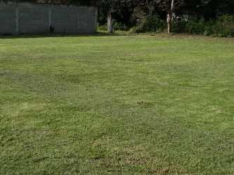 Vacant development land surrounded by trees in Rio Hato Panama