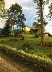 Land for Sale in Dolega - 0 bedrooms