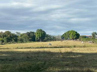 Land for Sale in Tonosí - 0 bedrooms