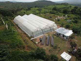 Agricultural farm with multiple greenhouses and renewable energy near Nueva Gorgona Panama for sale