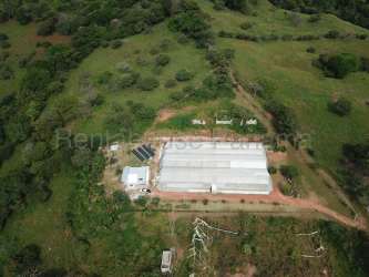 Greenhouse structures equipped for agriculture with irrigation on farmland in Chame Panama
