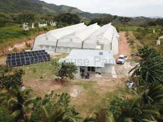 Aerial rural property with greenhouses powered by solar surrounded by farmland and natural landscape in Panama