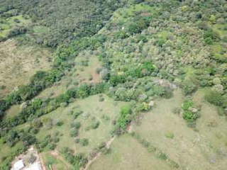 Farm Land with Greenhouses for Sale in Punta Chame - 2 bedrooms