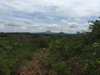 29-hectare Land with Creek in El Cristo Aguadulce