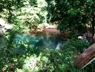 Clear river bordered by trees at the back of this Chame countryside estate Panama