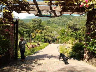 Land with house and social amenities for Sale in San Carlos - 1 bedroom