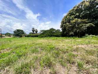 Buildable cleared lot with green area Paseo Las Quintas