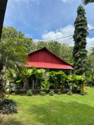 One story country house with red roof surrounded by lush green teak plantation in Santa Rita Panama