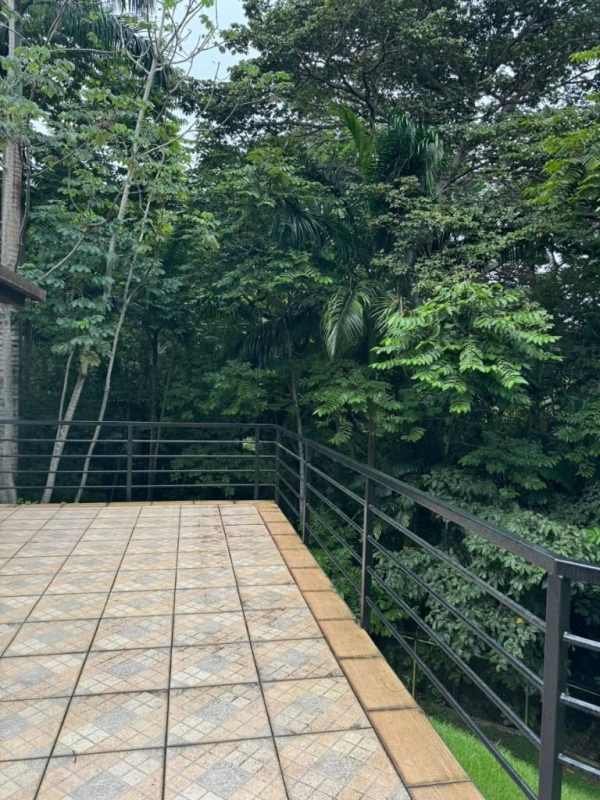 Large balcony on second floor with lush greenery views Cerro Ancón Panama rental house