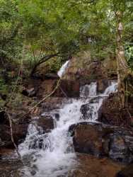 Natural waterfall amid dense green forest on private mountain farmstead Veraguas Panama