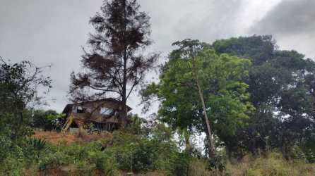 Rustic elevated wooden guest cabin surrounded by mature trees Veraguas Panama