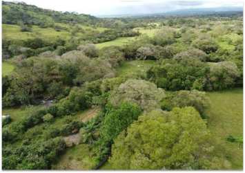 Rural land lot with dirt road connection in Chiriquí for sale