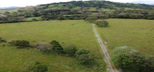 Expansive rural farmland bordered by greenery in Dolega Chiriquí Panama