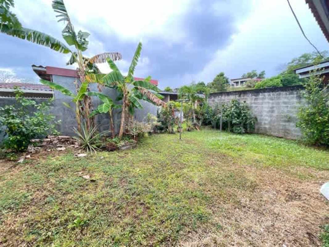 Private garden with banana trees and fencing in Altos de las Praderas Panama City