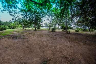 Black sand beach meeting vibrant tropical foliage at beachfront lot Chumico Panama for investment