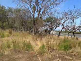 Beachfront fenced lot with sandy soil and sparse vegetation for sale in Playa Monagre Los Santos