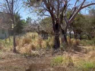 Wooded natural beachfront property in Playa Monagre Los Santos Panama available for sale