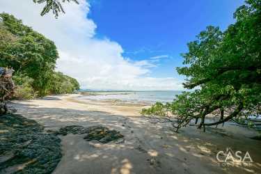Natural pristine beachfront property in Chiriquí coastal region with forest surroundings