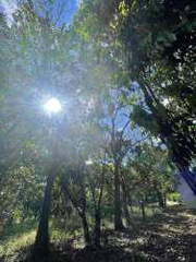 House for Sale in El Pilón - 3 bedrooms