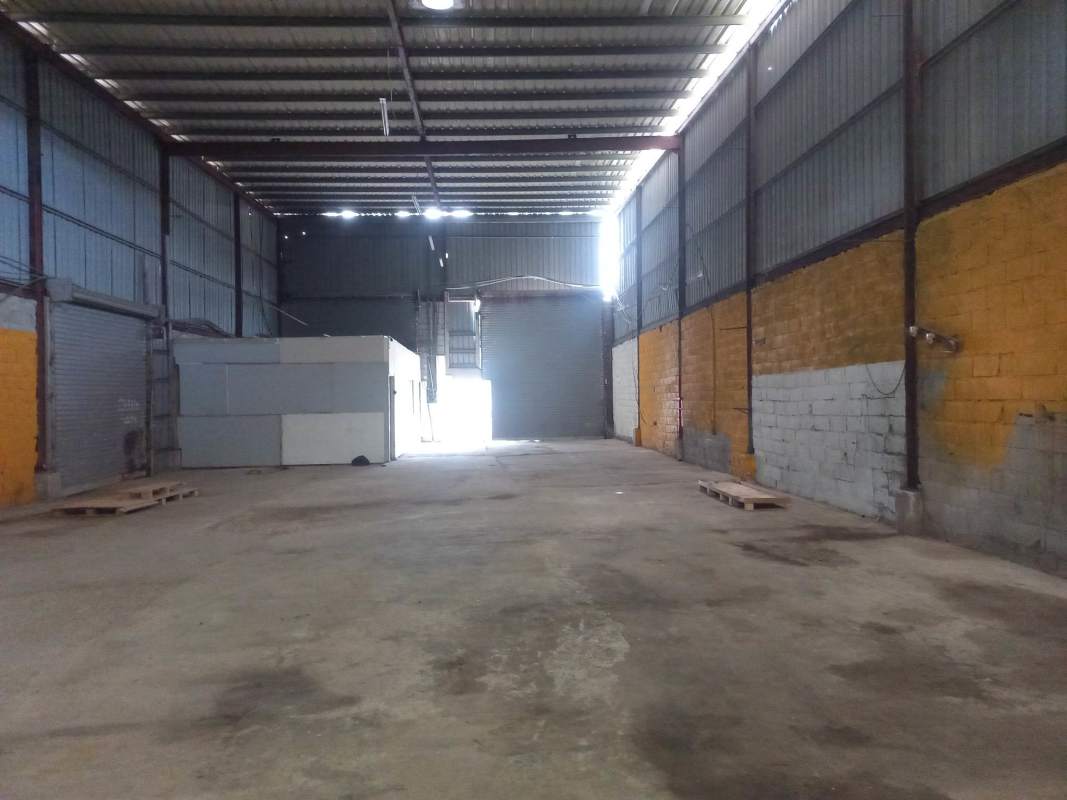 Spacious empty warehouse interior with concrete floor, metal structure, roller shutter in Las Mañanitas