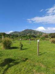 Land for Sale in Cermeño - 0 bedrooms