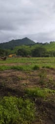 Access dirt road with trees leading to mountain land in Cermeño Capira Panama