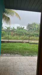 Large backyard garden with shade trees at Ocú countryside property