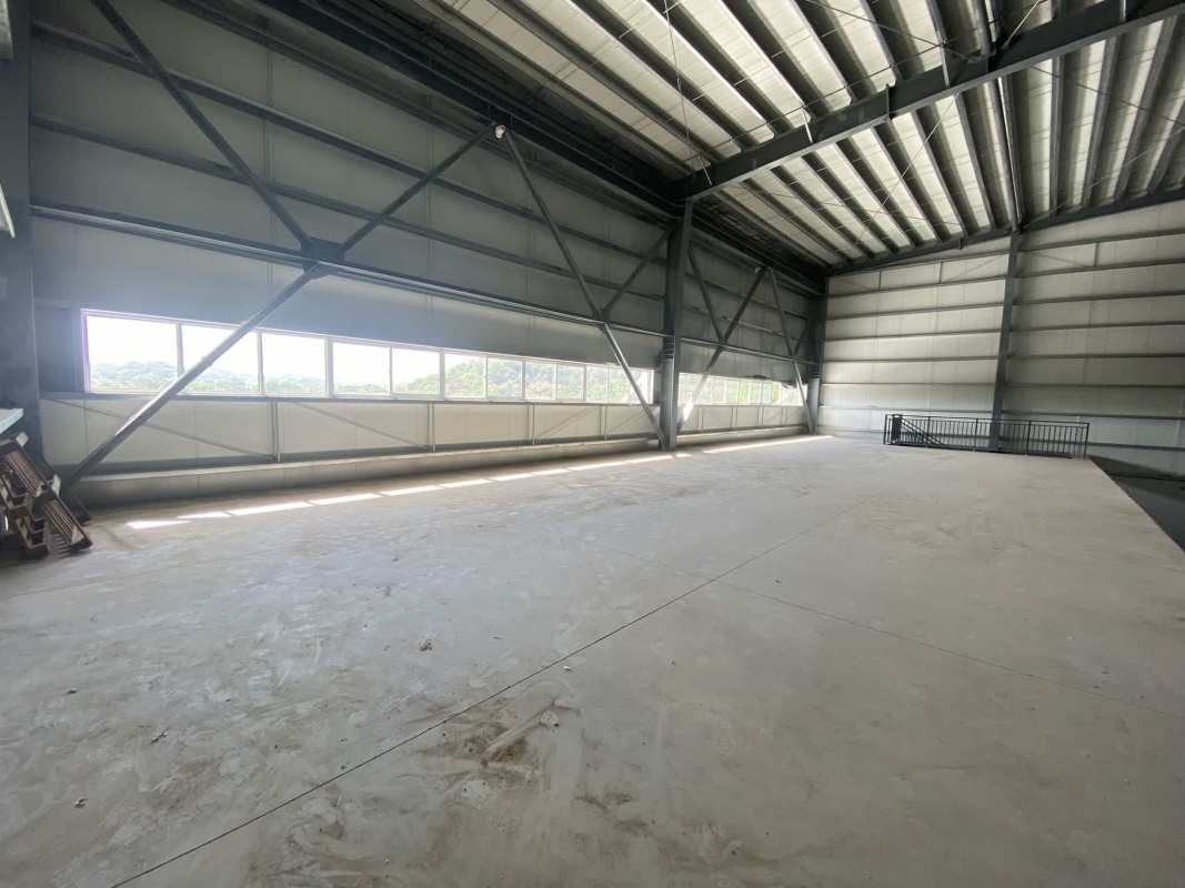 Multiple electric loading dock doors with awning at warehouse Pedregal Panama