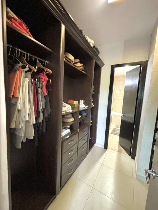 Covered terrace balcony with panoramic lush views in The Bridge Amador Panama City