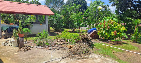Mature fruit trees and fenced tropical garden in La Chorrera Panama property