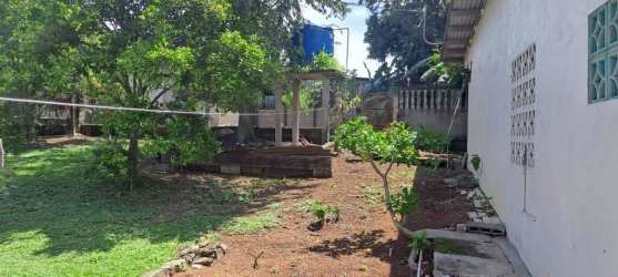 Large open yard area with mature trees and private water well in La Chorrera